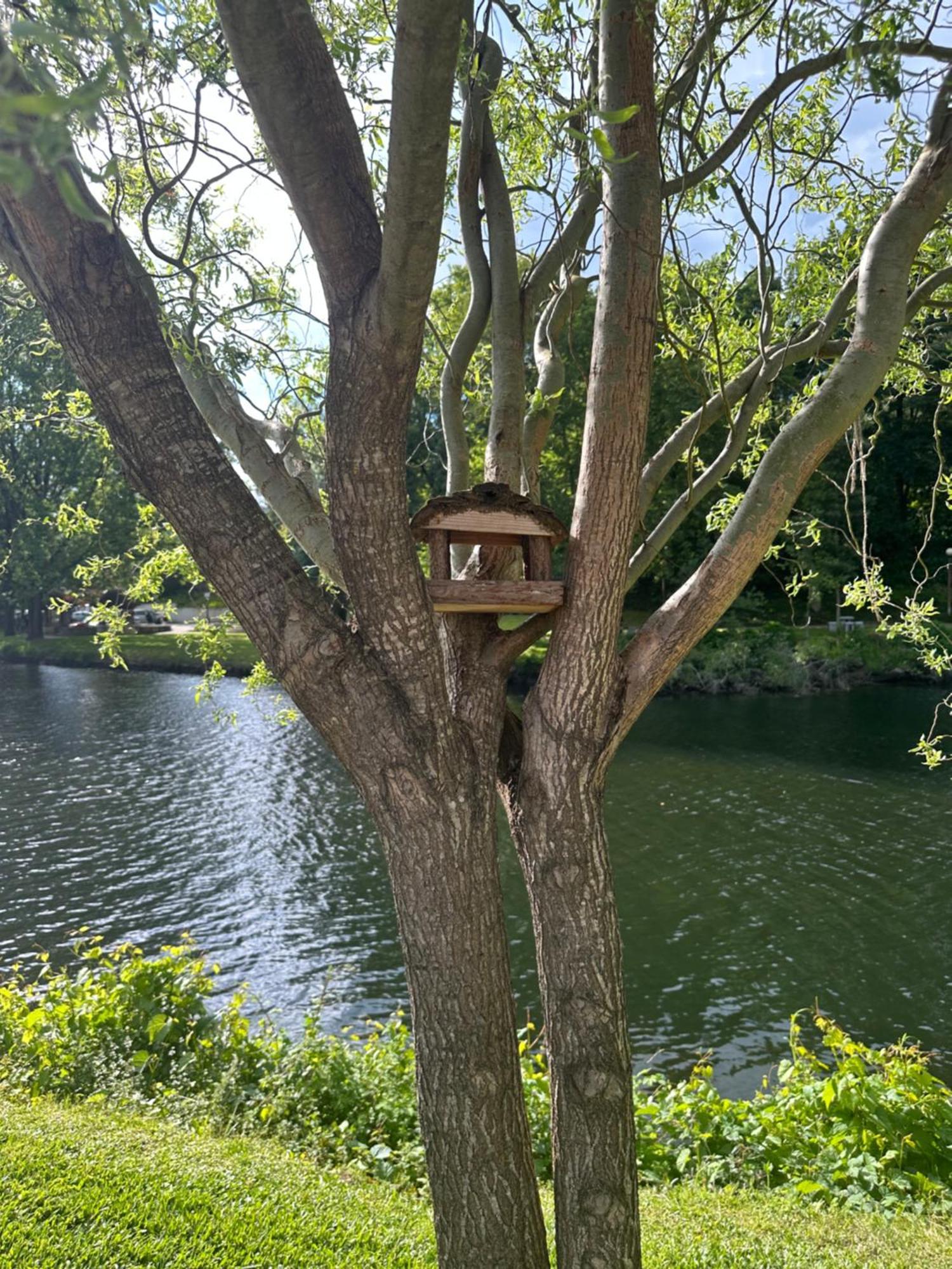 São Pedro do Sul Nature E Spa Al - Termas Saude E Beleza, Totalmente Renovado - Piscinas Municipais Em Frente - Epoca Julho A Setembro מראה חיצוני תמונה